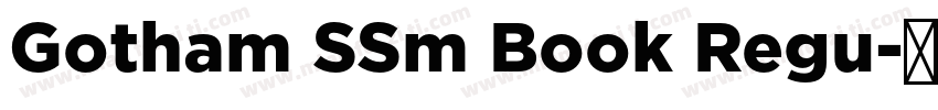 Gotham SSm Book Regu字体转换